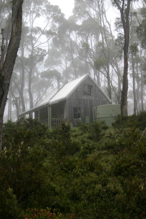 Вилла Wombat Cabin Moina Экстерьер фото